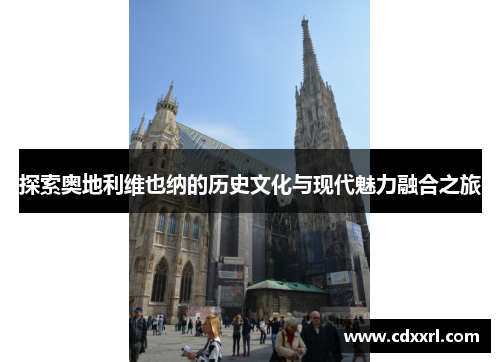 探索奥地利维也纳的历史文化与现代魅力融合之旅