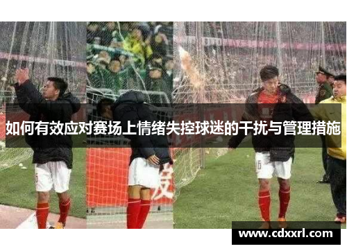 如何有效应对赛场上情绪失控球迷的干扰与管理措施