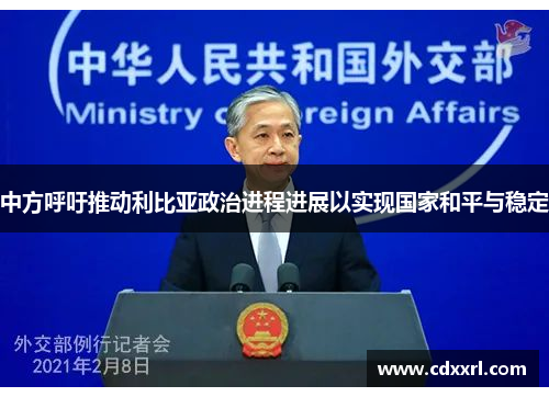 中方呼吁推动利比亚政治进程进展以实现国家和平与稳定