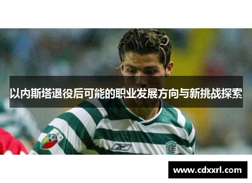 以内斯塔退役后可能的职业发展方向与新挑战探索